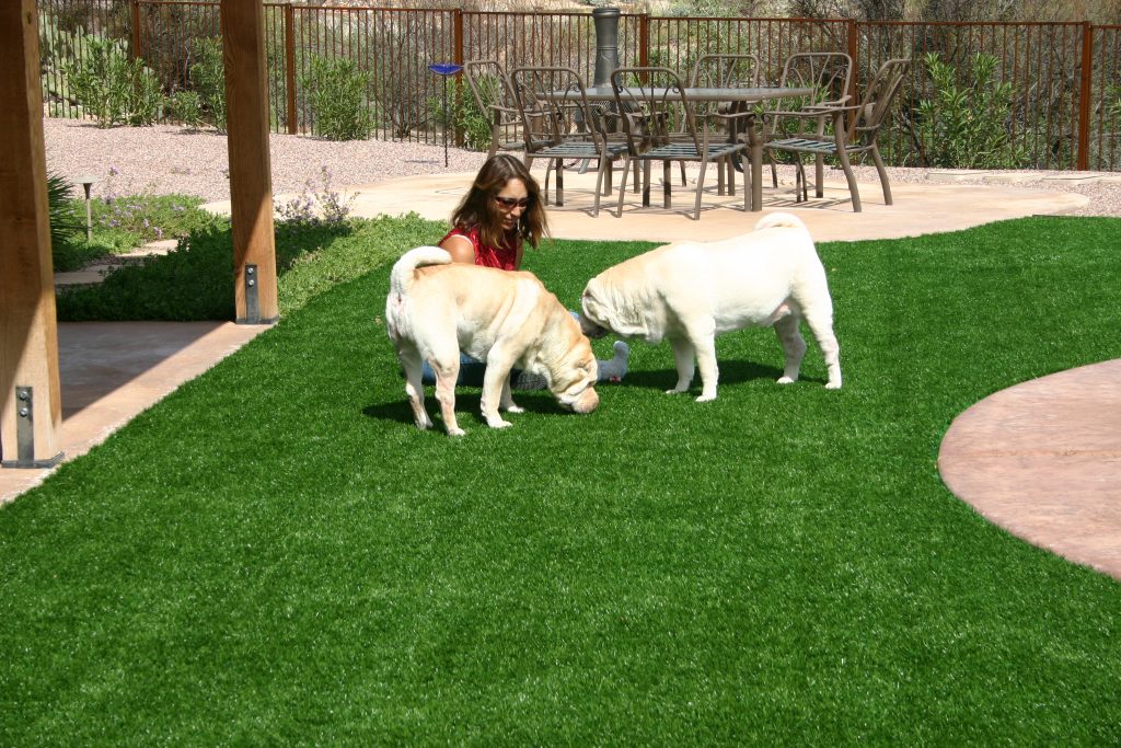 Home Artificial Grass Tucson